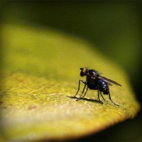 /album/unconmigol/photolia-a07-jpg/